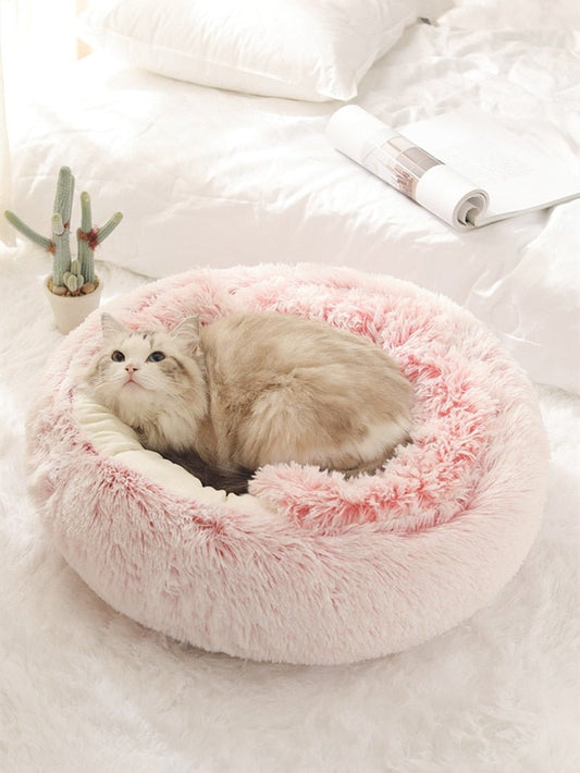2-in1 Pet Bed - Second -To None