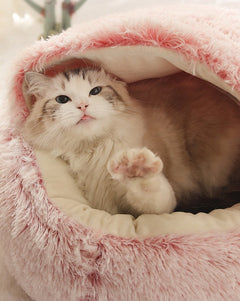 2-in1 Pet Bed - Second -To None