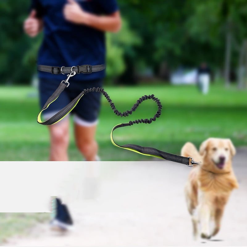 Dog Walking Belt with Detachable Shockproof Leash - Second -To None