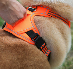 Durable Waterproof Pet Harness with Vertical Handle - Second -To None