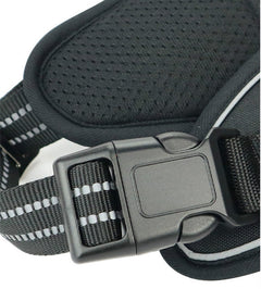 Durable Waterproof Pet Harness with Vertical Handle - Second -To None