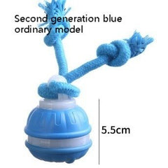 Interactive Pet Rolling Ball Toy USB Rechargeable - Second -To None