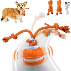 Interactive Pet Rolling Ball Toy USB Rechargeable - Second -To None