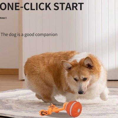 Interactive Pet Rolling Ball Toy USB Rechargeable - Second -To None