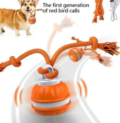Interactive Pet Rolling Ball Toy USB Rechargeable - Second -To None