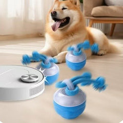 Interactive Pet Rolling Ball Toy USB Rechargeable - Second -To None