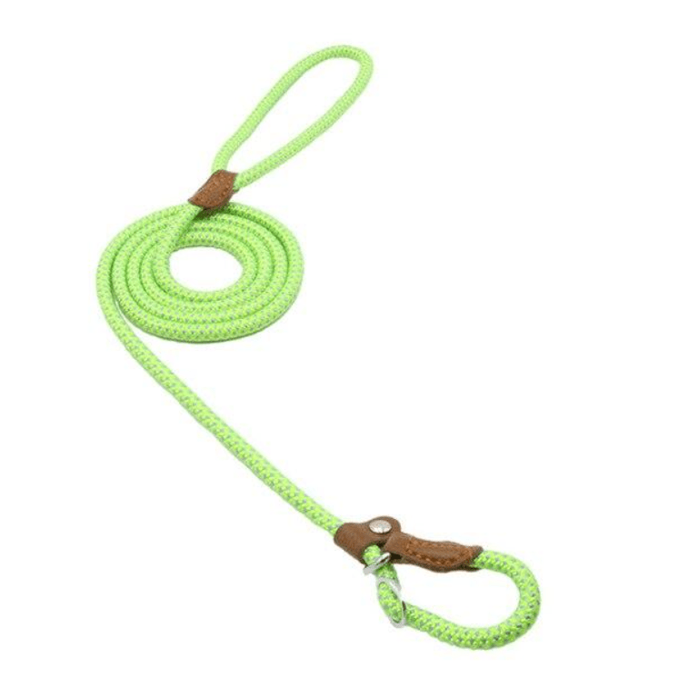 Nylon Pup Set - Second -To None