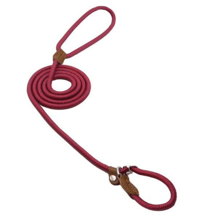 Nylon Pup Set - Second -To None