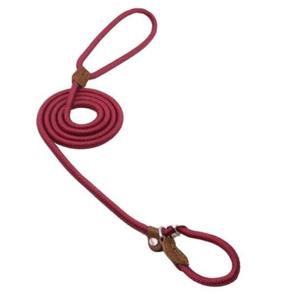 Nylon Pup Set - Second -To None