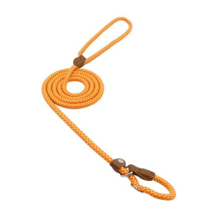 Nylon Pup Set - Second -To None