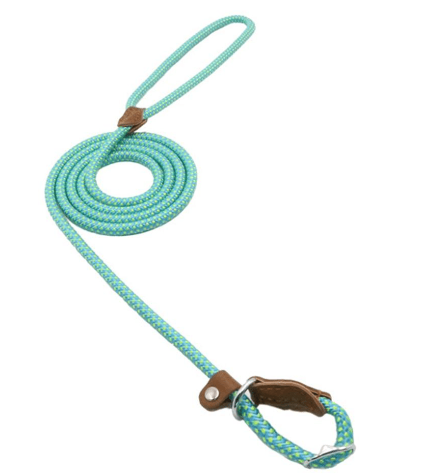 Nylon Pup Set - Second -To None