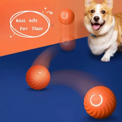 Pet Dog Rubber Ball Toys For Dogs - Second -To None