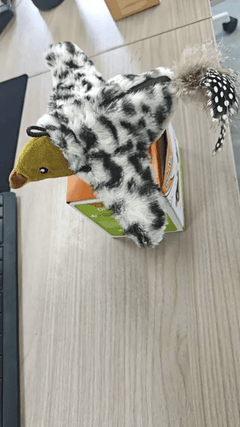 Plush Bird Pet Toy - Second -To None