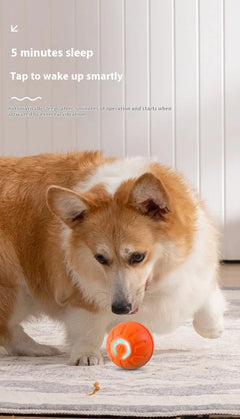 Smart Interactive Dog Toy Ball - Second -To None