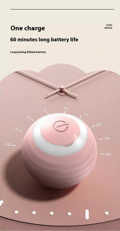 Smart Interactive Dog Toy Ball - Second -To None