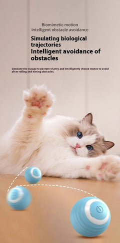 Smart Interactive Dog Toy Ball - Second -To None