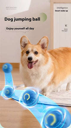 Smart Interactive Dog Toy Ball - Second -To None