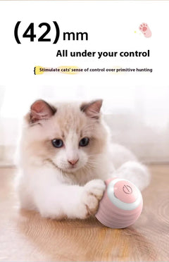 Smart Interactive Dog Toy Ball - Second -To None