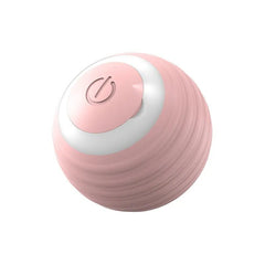 Smart Interactive Dog Toy Ball - Second -To None