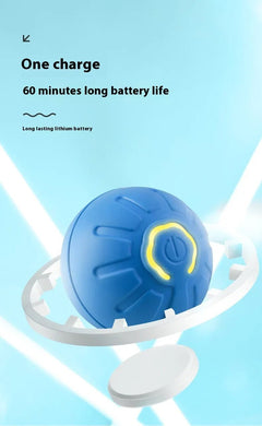 Smart Interactive Dog Toy Ball - Second -To None