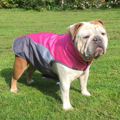 Waterproof Outdoor Pet Raincoat and Insulated Jacket - Second -To None